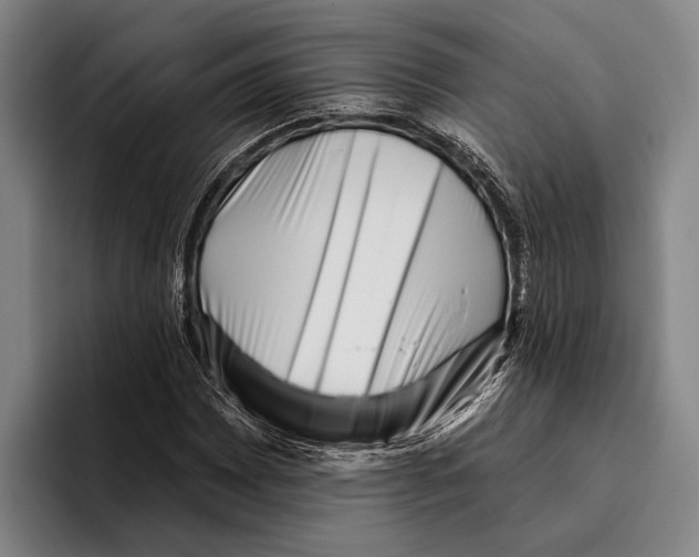 X0000096131065200802151309