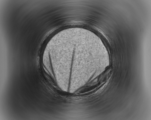 X0000096131066200802151309