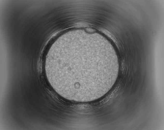 X0000096131067200802151309