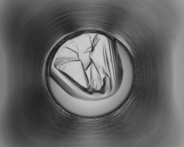 X0000096131068200802151309