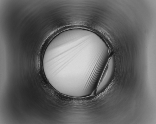 X0000096131069200802151309