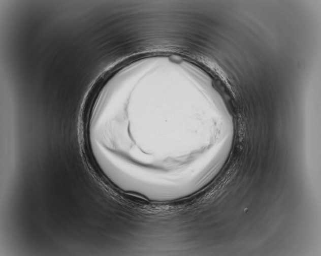 X0000096131072200802151309