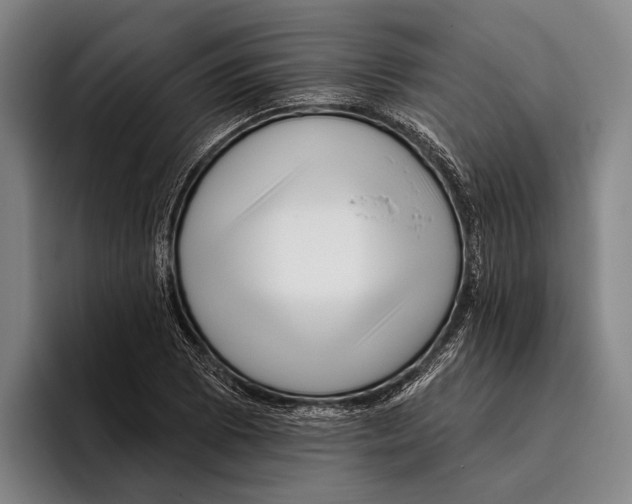 X0000096131073200802151309