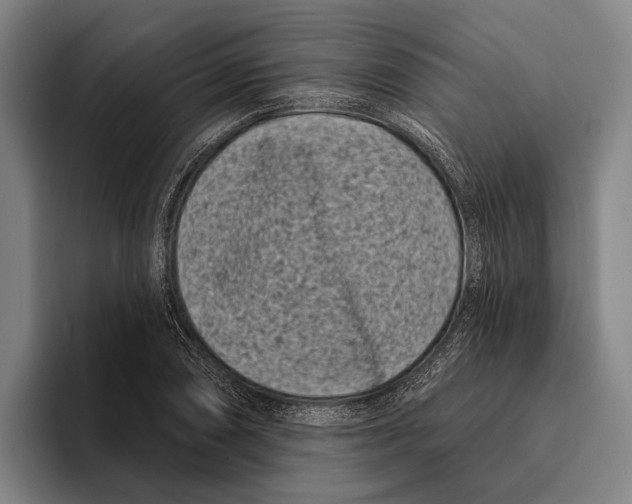 X0000096131074200802151309