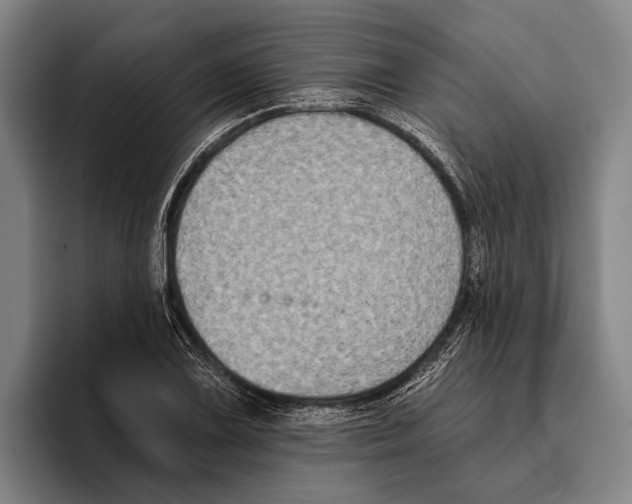 X0000096131075200802151309