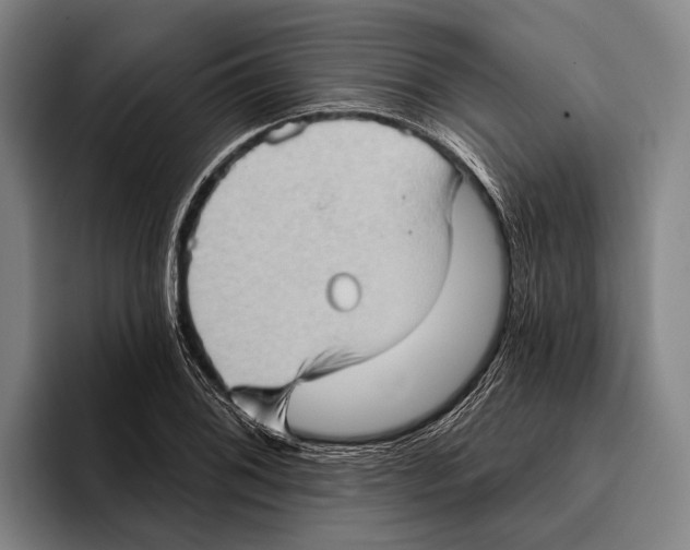 X0000096131076200802151309