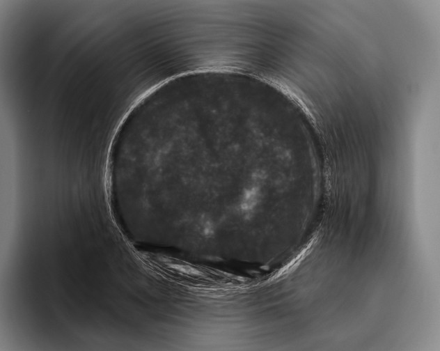 X0000096131077200802151309