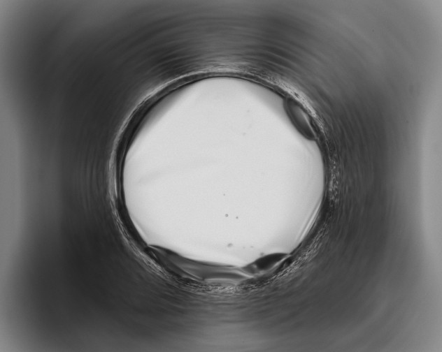 X0000096131080200802151309