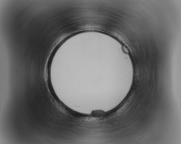 X0000096131082200802151309