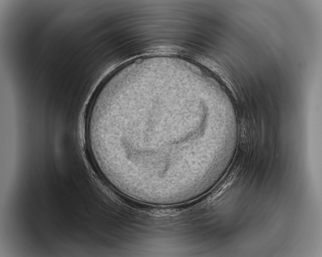 X0000096131083200802151309