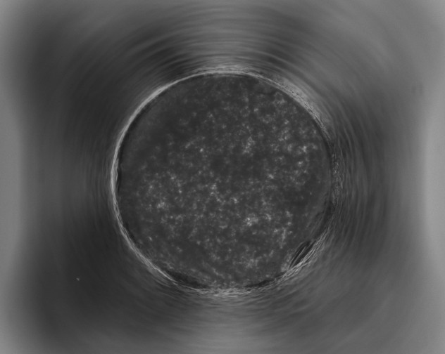 X0000096131084200802151309