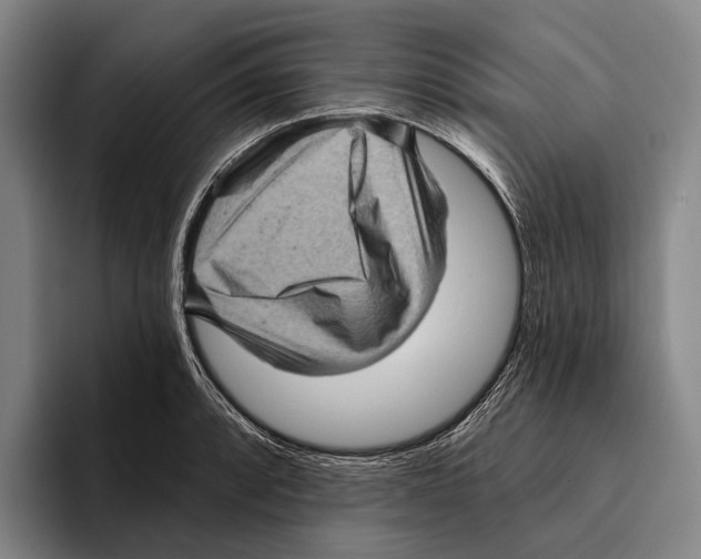 X0000096131088200802151309