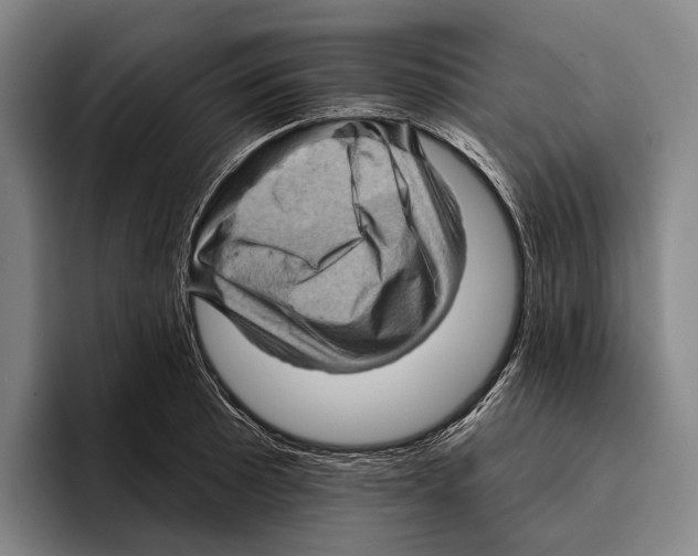 X0000096131089200802151309