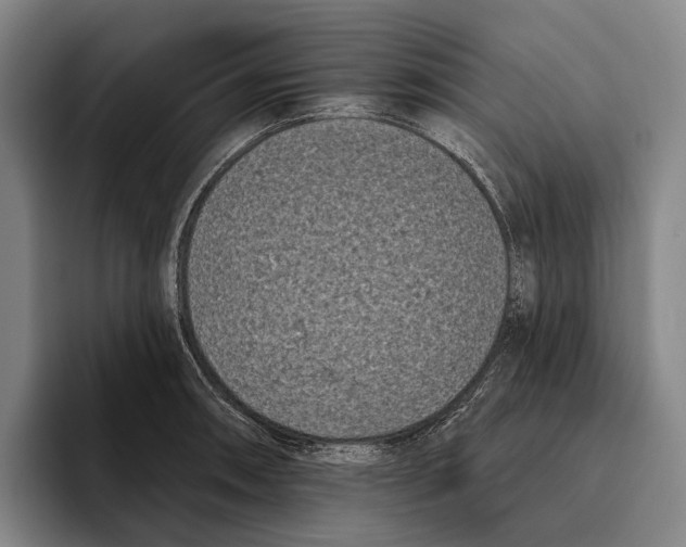 X0000096131090200802151309