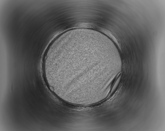 X0000096131091200802151309