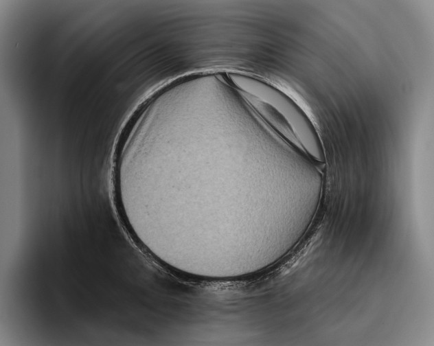 X0000096131093200802151309