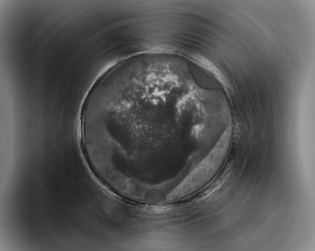 X0000096131095200802151309