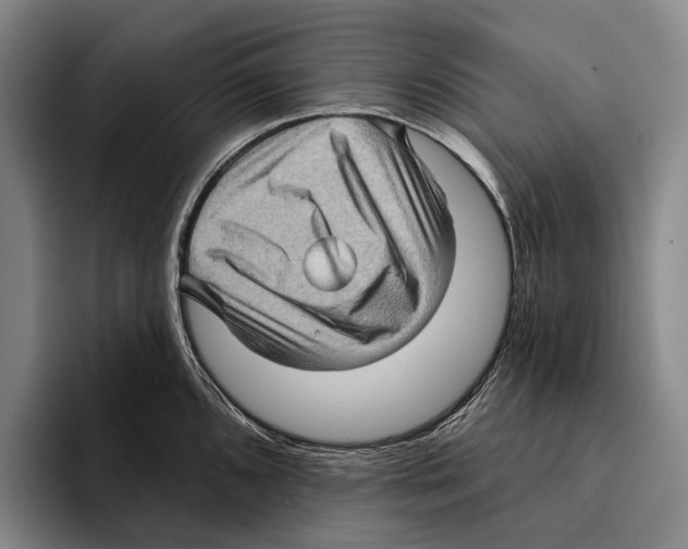 X0000096131096200802151309