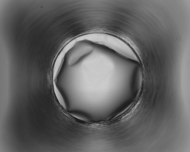 X0000096131097200802151309