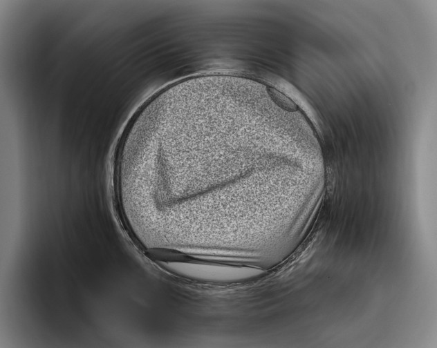 X0000096131099200802151309