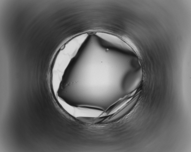 X0000096131100200802151309