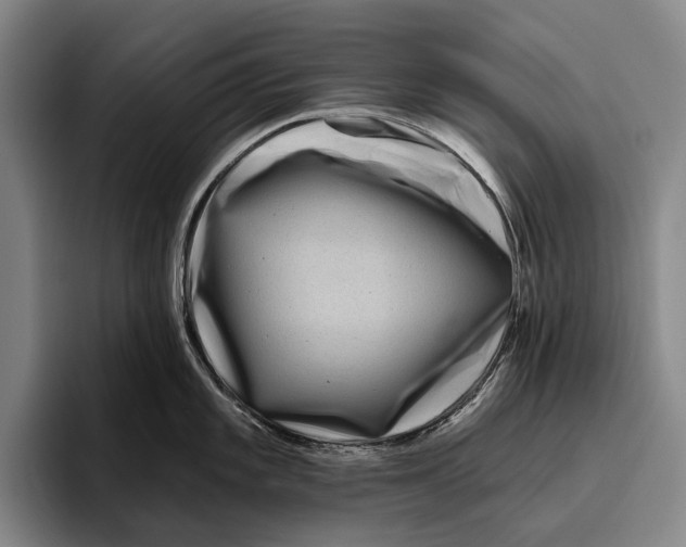 X0000096131101200802151309