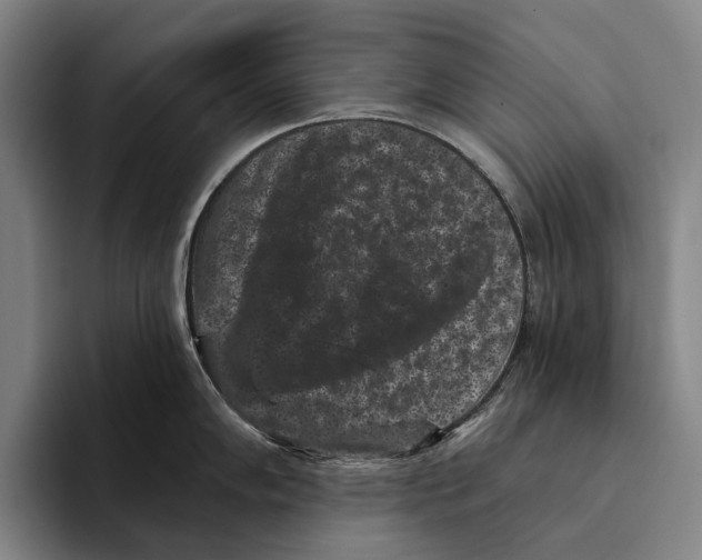 X0000096131102200802151309