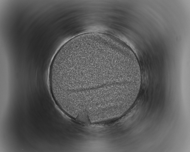 X0000096131103200802151309