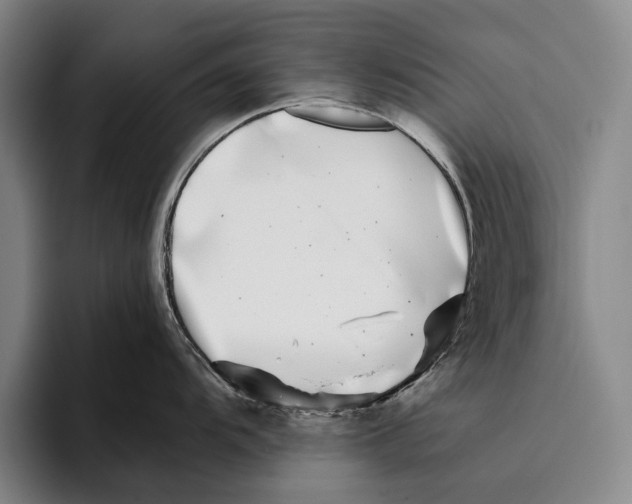 X0000096131104200802151309