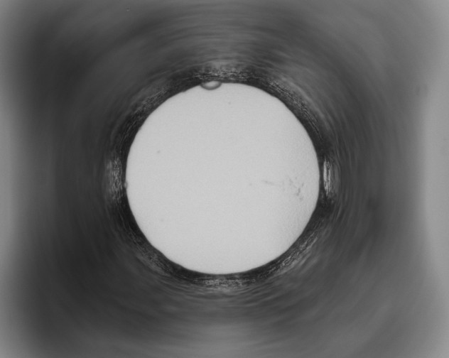 X0000096131107200802151308