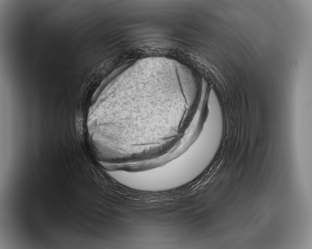 X0000096131108200802151308