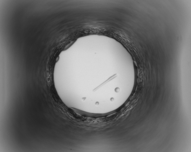 X0000096131109200802151308