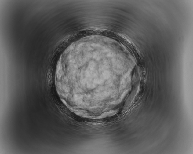 X0000096131110200802151308