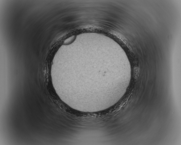 X0000096131111200802151308