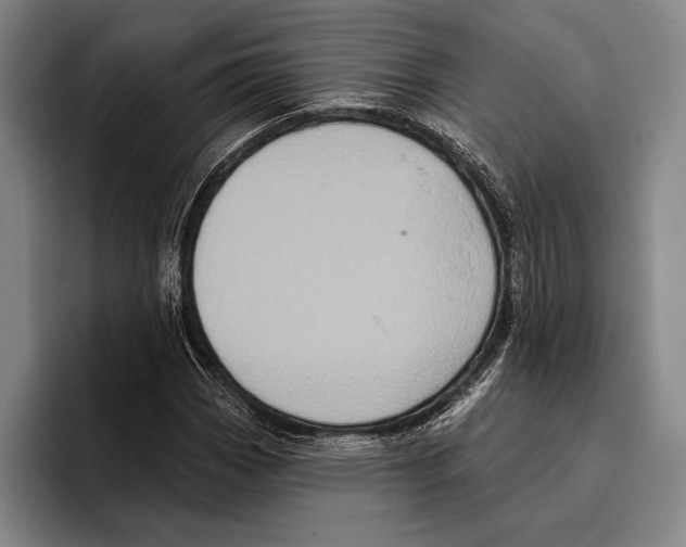 X0000096131113200802151308