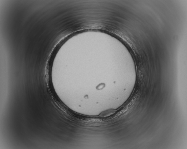 X0000096131119200802151308