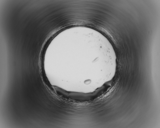 X0000096131122200802151308