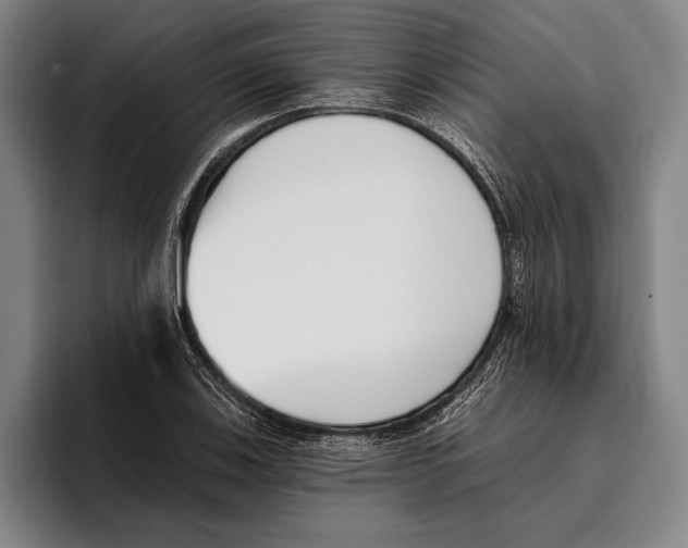 X0000096131123200802151308