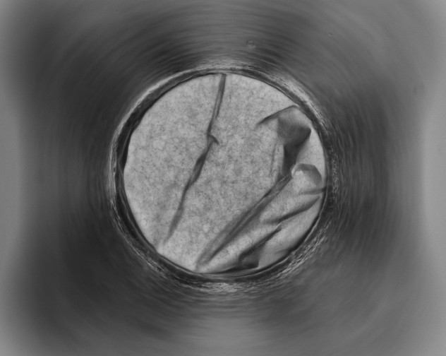 X0000096131124200802151308