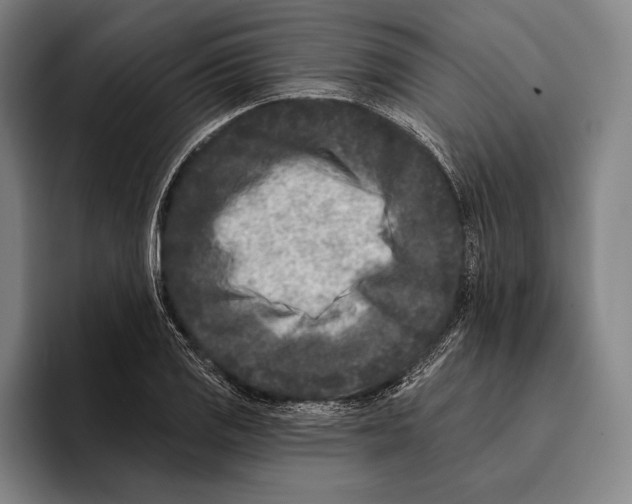 X0000096131125200802151308