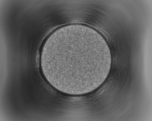 X0000096131126200802151308