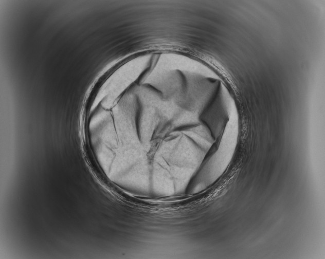 X0000096131128200802151308