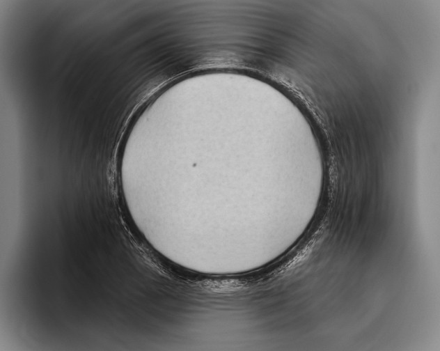 X0000096131129200802151308