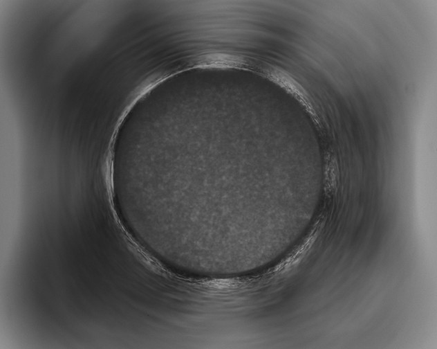 X0000096131130200802151308