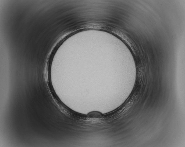 X0000096131131200802151308