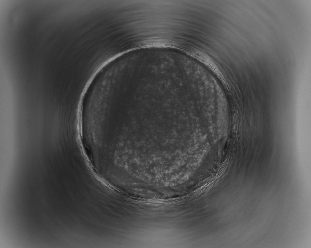 X0000096131132200802151308