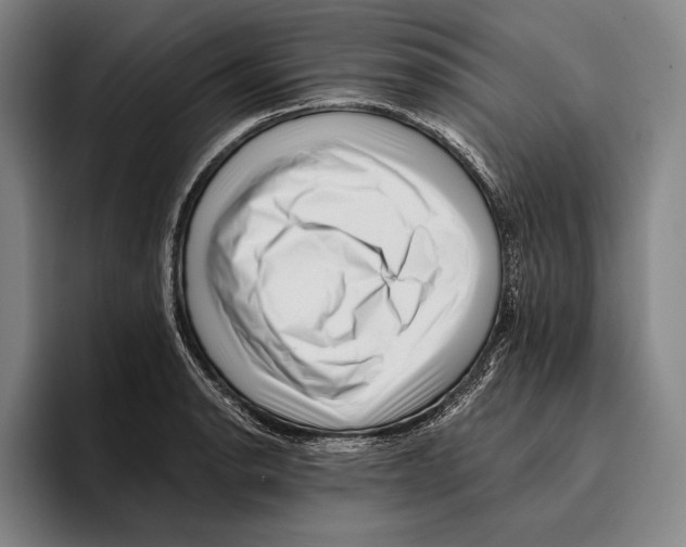 X0000096131134200802151308