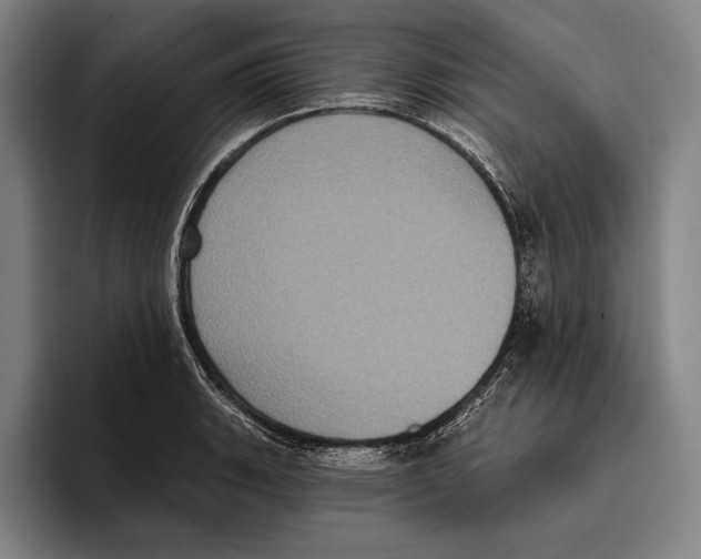 X0000096131135200802151308