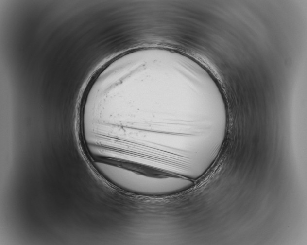 X0000096131136200802151308