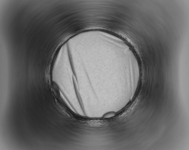 X0000096131137200802151308